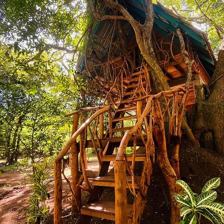 Ali Adi Eco Lodge Sigiriya Exterior photo