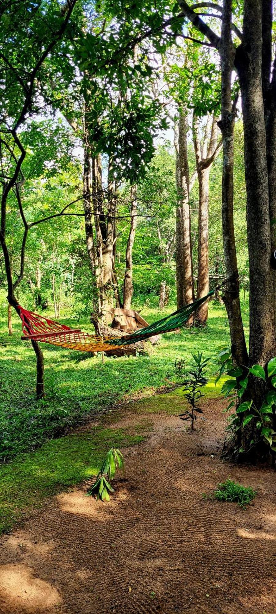 Ali Adi Eco Lodge Sigiriya Exterior photo