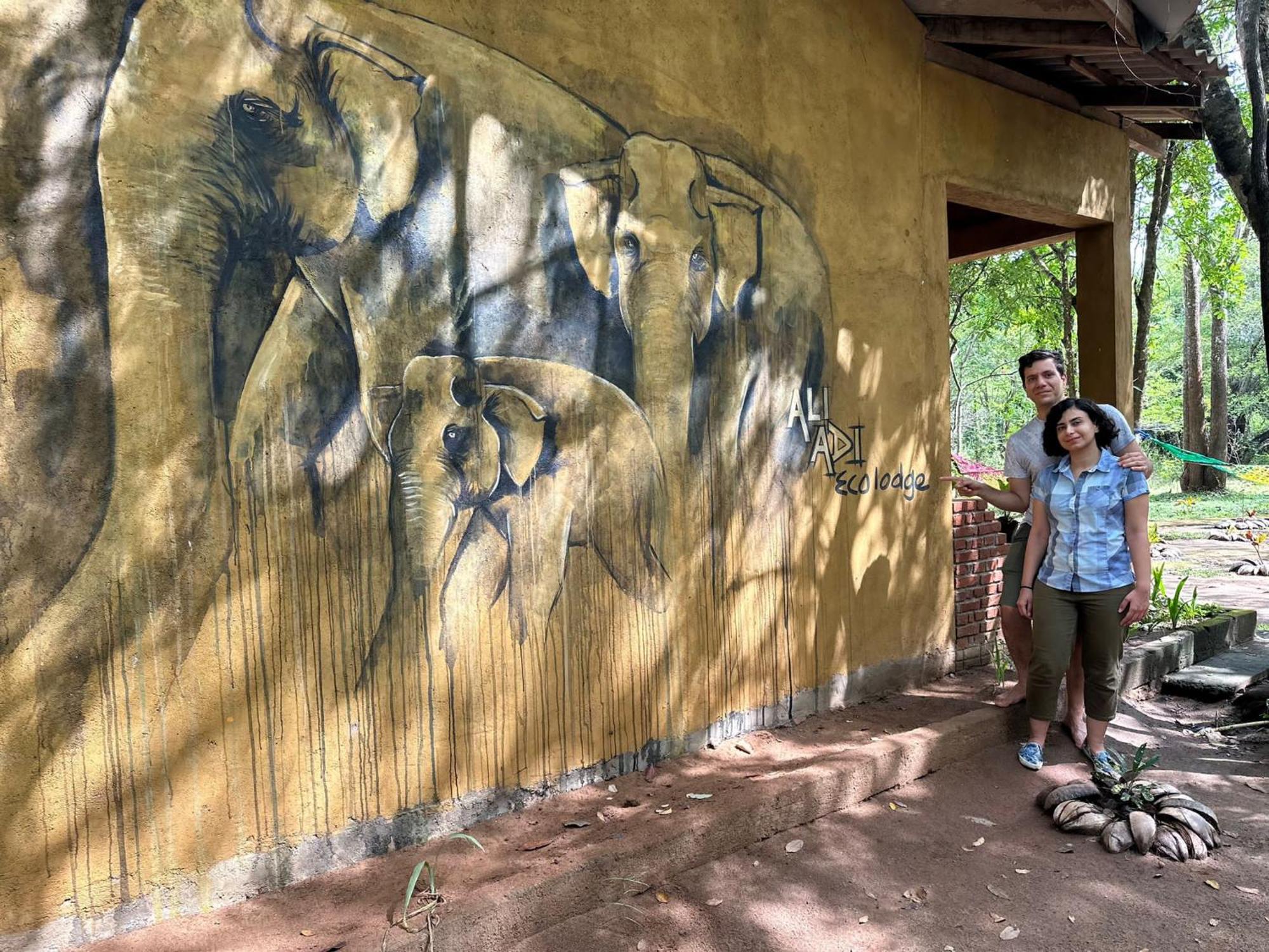 Ali Adi Eco Lodge Sigiriya Exterior photo