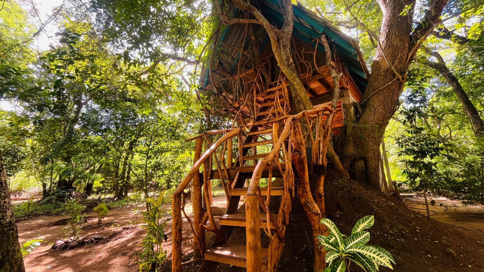 Ali Adi Eco Lodge Sigiriya Exterior photo