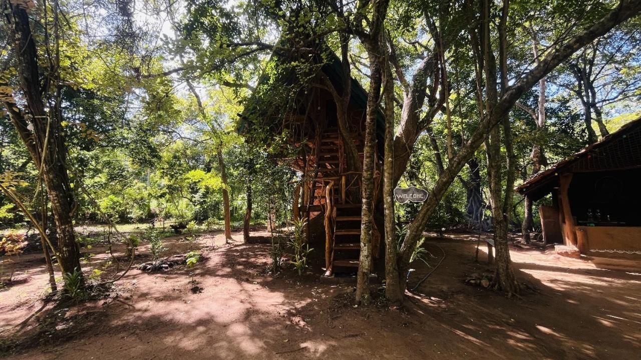 Ali Adi Eco Lodge Sigiriya Room photo