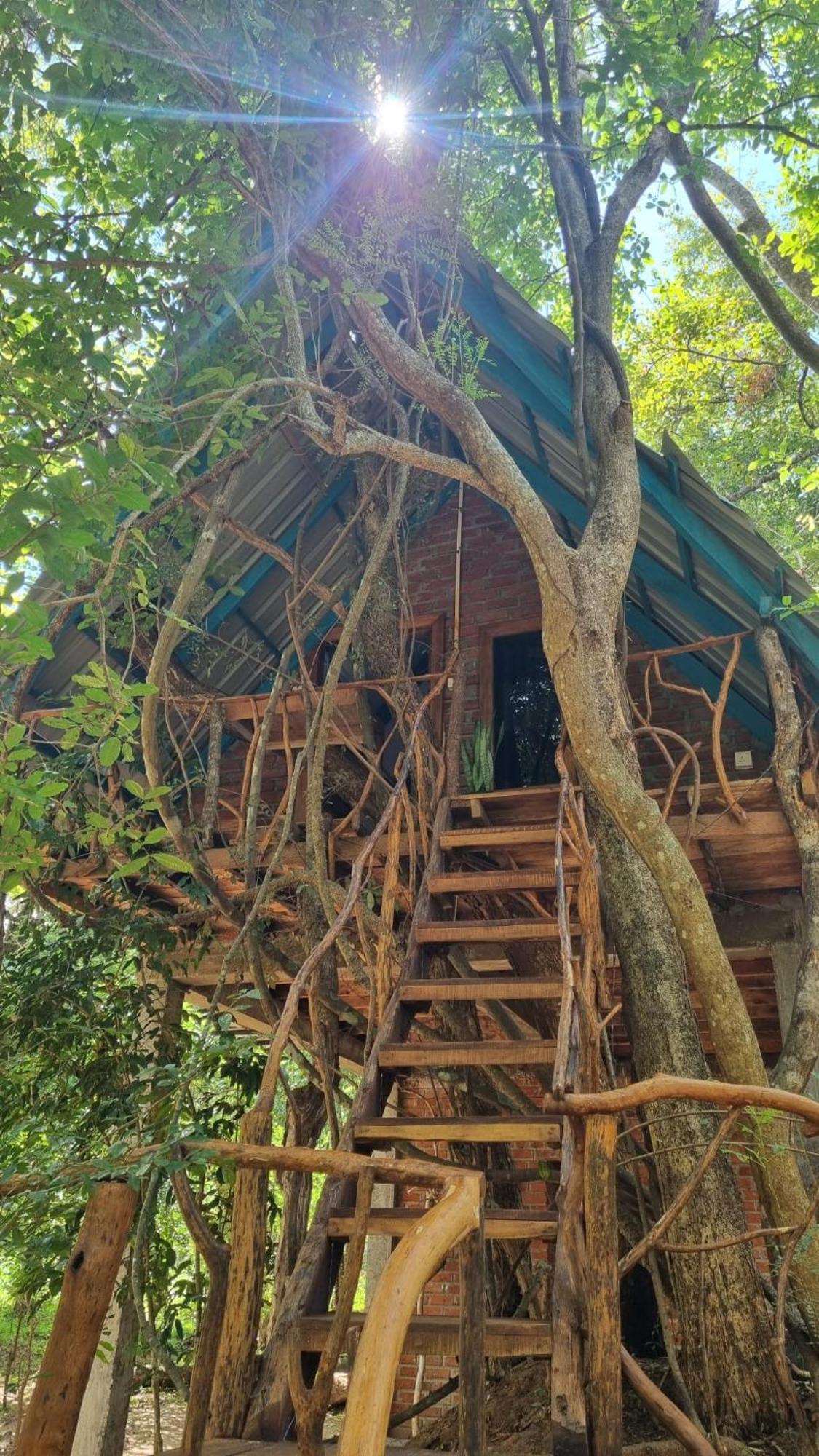 Ali Adi Eco Lodge Sigiriya Exterior photo